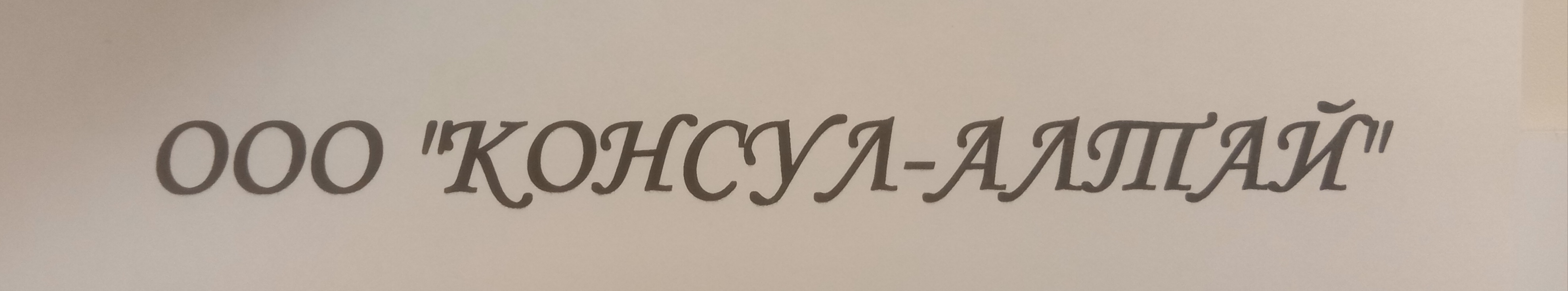 ООО «Консул-Алтай»