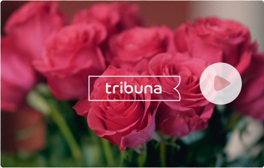 Компания «Трибуна»