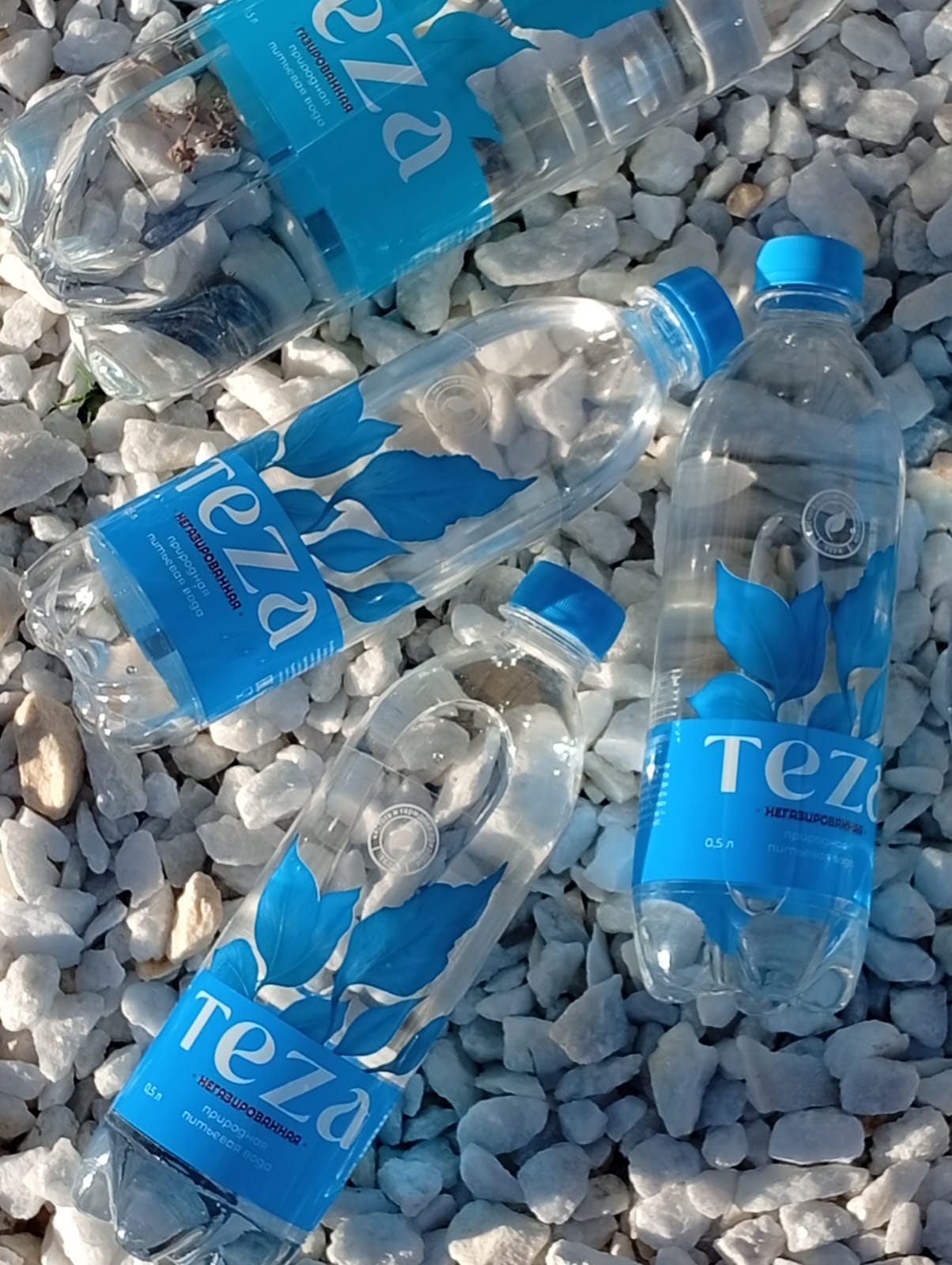 ООО ТМ Дина