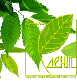 Стоматология метро Парнас - Студия-Дент