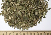 Пиона уклоняющего трава