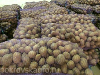 Экологически чистый картофель