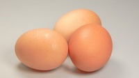 Яйцо куриное диетическое и столовое