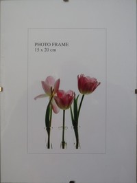 Рамки-клип для фотографий
