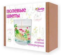 6200 Набор для изготовления свечей По...