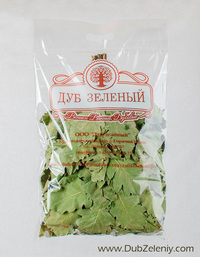 Веники из кавказского дуба для бани