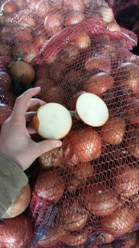 Лук репчатый сибирский