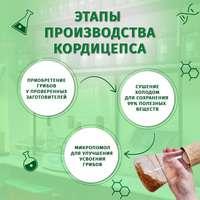 Пищевая добавка «Кордицепс для мега с...
