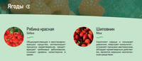Дикорастущие ягоды замороженные
