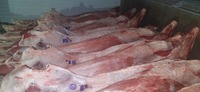Говядина 1 кат.