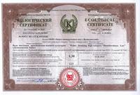 Питьевая вода «ДЕМИДОВСКАЯ ЛЮКС» 0,5 ...