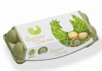 Столовые яйца куриные