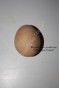 Яйца свежие в упаковке