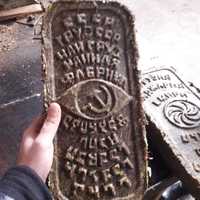 Орех кедровый Сибирский и Дальневосто...