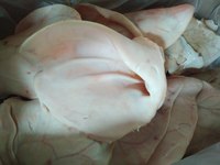 Экспортные субпродукты