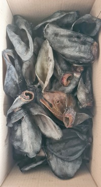 BuckDog ушки говяжьи