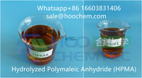 Corrosion and scale inhibitor Hydroly...