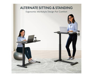 FLEXISPOT Mobile Standing Desk With W...