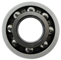 Подшипник токоизолированный аналог SK...