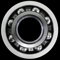 Подшипник токоизолированный аналог SK...