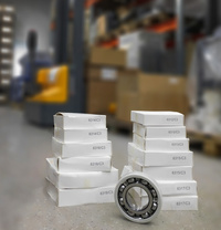 Подшипник токоизолированный аналог SK...