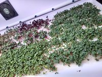 Автономный комплекс MZ-4 —революция в...