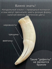 Кулон оберег амулет Настоящий Волчий ...