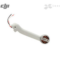 Луч с мотором Задний Правый для DJI M...