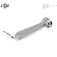 Луч с мотором Задний Правый для DJI M...