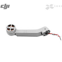 Луч с мотором Задний Левый для DJI Ma...