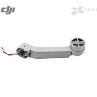 Луч с мотором Задний Правый для DJI M...
