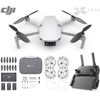 Квадрокоптер DJI Mavic Mini - Fly Mor...