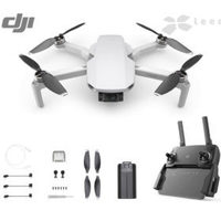 Квадрокоптер DJI Mavic Mini - The Eve...