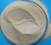 Xanthan Gum