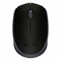 Мышь беспроводная Logitech M171, опти...