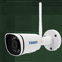 IP-камера Trassir Pro TR-D2221WDIR4 2...
