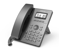 VoIP-телефон FLYINGVOICE P10W, 2 лини...