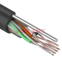 Витая пара UTP кат.5e, 4 пары, CU, 30...