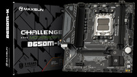 Материнская плата MaxSun Challenger B...