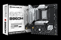 Материнская плата MaxSun Terminator B...