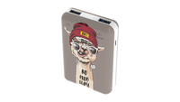 Портативный аккумулятор (Powerbank) R...