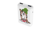Портативный аккумулятор (Powerbank) R...