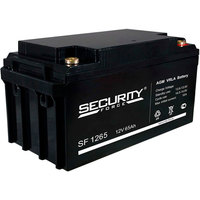 Аккумуляторная батарея для ОПС Securi...
