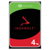 Жесткий диск (HDD) Seagate 4Tb IronWo...