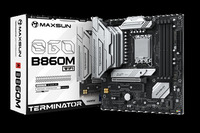 Материнская плата MaxSun Terminator B...