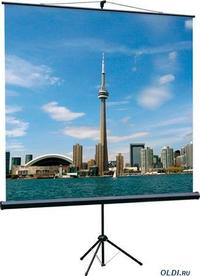 Экран для проектора на штативе с возм...