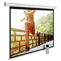 Экран для проектора Cactus 175x280см ...