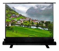 Экран для проектора Cactus 102x180см ...