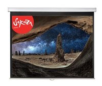Экран для проектора настенно-потолочн...
