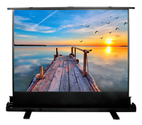 Экран для проектора Cactus 113x200см ...